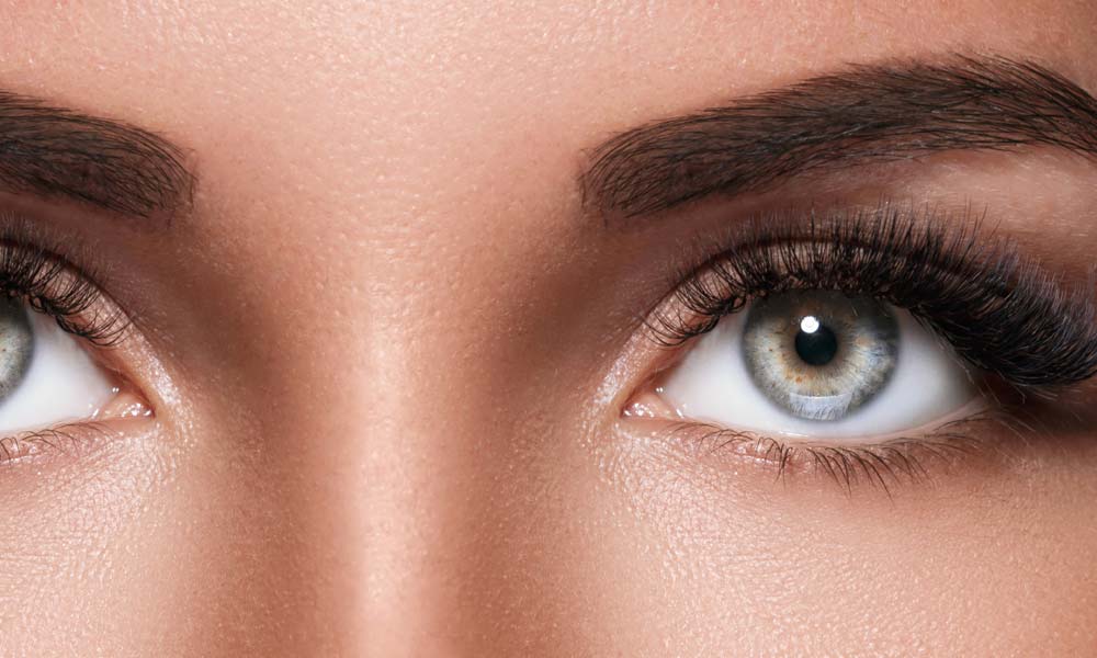 Eye Anatomy – Part 3: The Retina & Optic Nerve