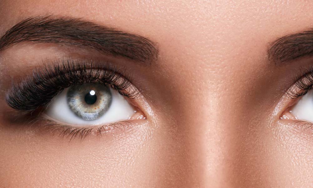 Eye Anatomy – Part 2: The Lens & Vitreous